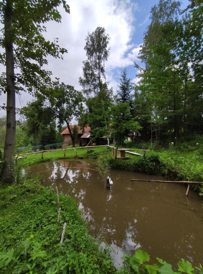 Agroturystyka Zielona Dolinka Stryszow Luaran gambar